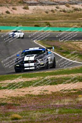 media/Feb-25-2024-Speed Ventures (Sun) [[b9a2a97a4d]]/Mustang Drivers Club/Session 3 (Turn 2)/